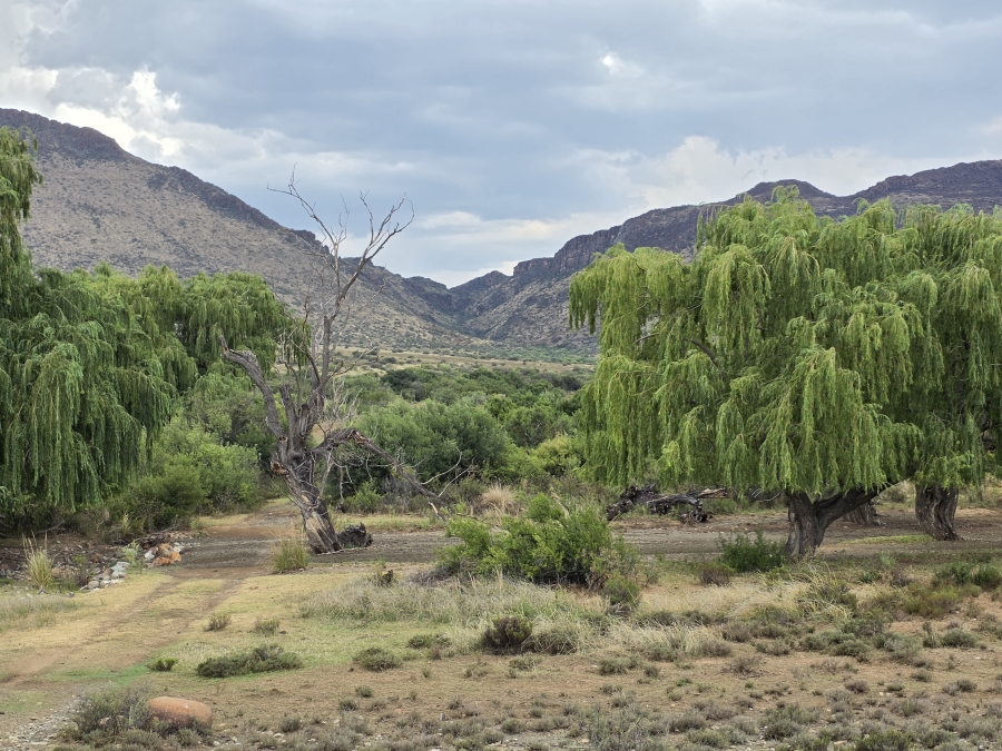 0 Bedroom Property for Sale in Middelburg Rural Eastern Cape